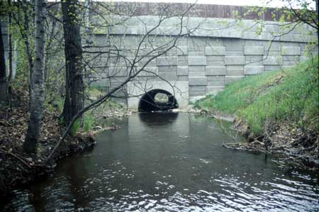 Transect 1 looking downstream
