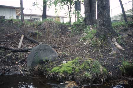 Transect 3 looking at left bank