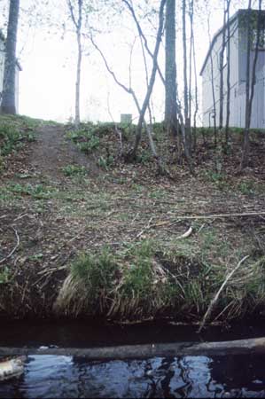 Transect 5 looking at right bank