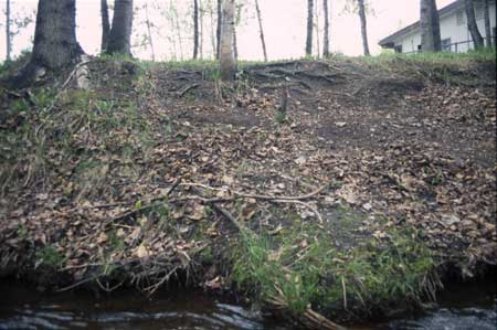 Transect 6 looking at left bank