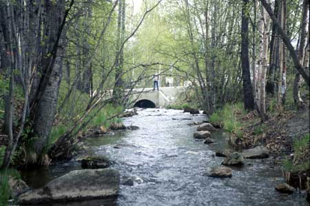 Transect 6 looking upstream