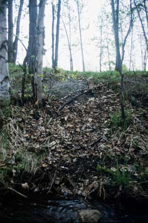 Transect 7 looking at left bank