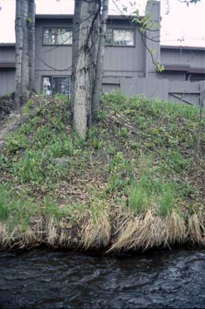 Transect 9 looking at right bank