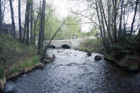 Transect 9 looking upstream