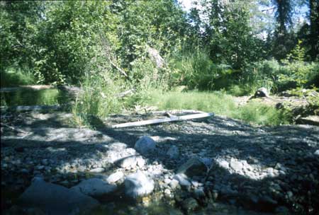 Transect 1 looking at right bank