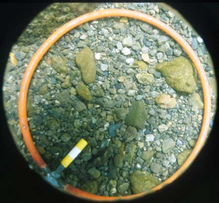 Transect 1, thalweg.