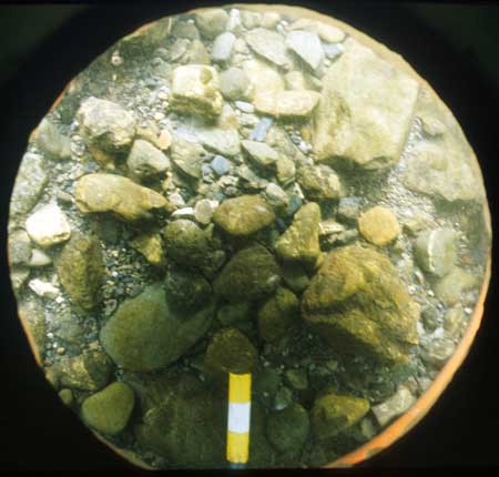 Transect 10, point 1.