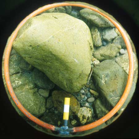 Transect 10, thalweg.