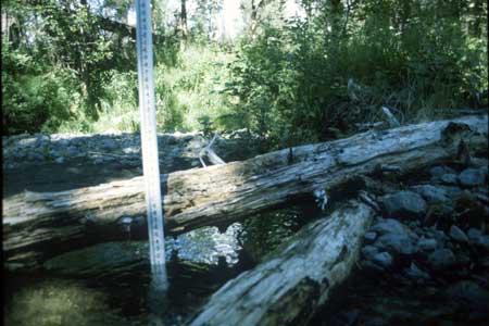 Transect 11 looking at right bank
