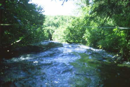 Transect 2 looking downstream