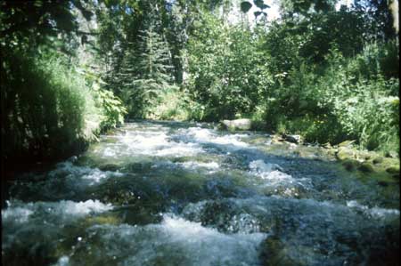 Transect 3 looking upstream