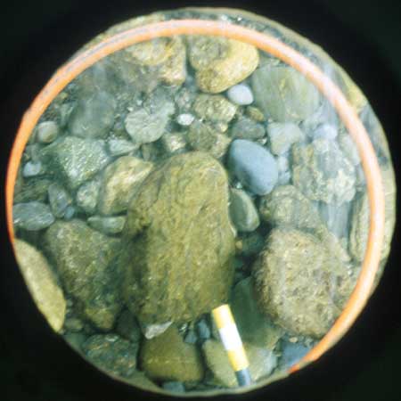 Transect 3, thalweg.