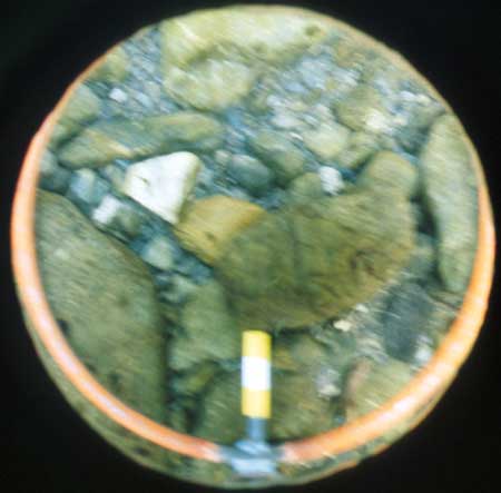 Transect 5, thalweg.