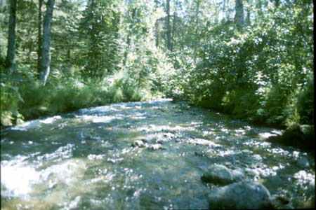 Transect 6 looking downstream