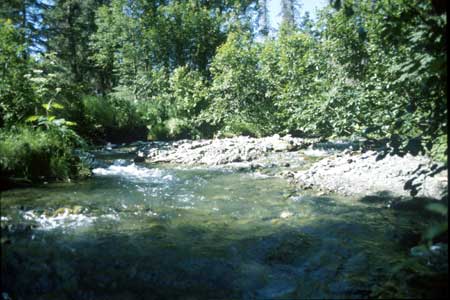 Transect 6 looking upstream