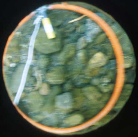 Transect 6, thalweg.