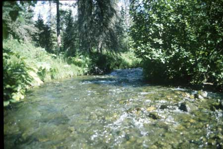 Transect 7 looking upstream