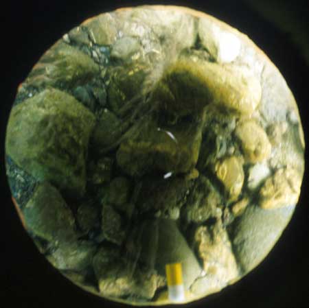 Transect 7, point 1.