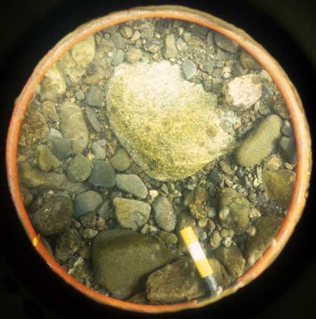 Transect 1, thalweg.