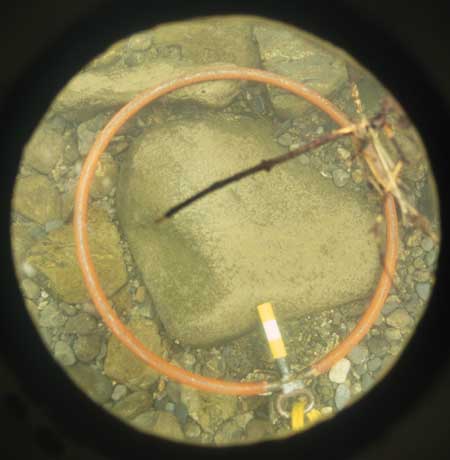Transect 2, thalweg.