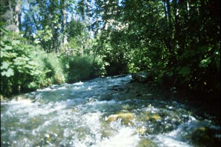 Transect 4 looking upstream
