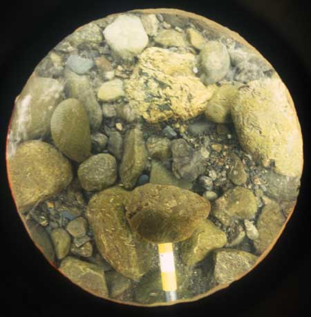 Transect 5, point 2.