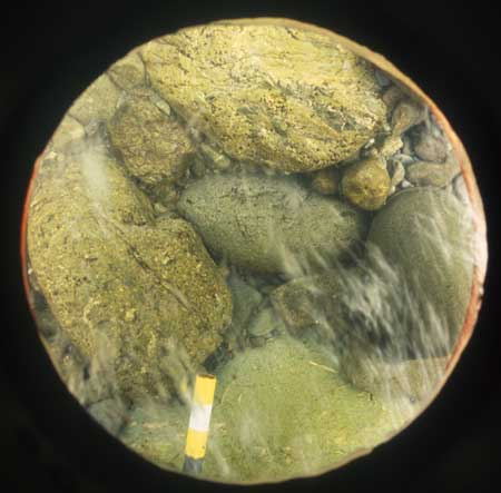 Transect 5, thalweg.