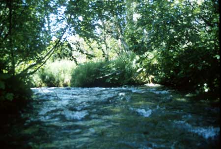 Transect 6 looking downstream