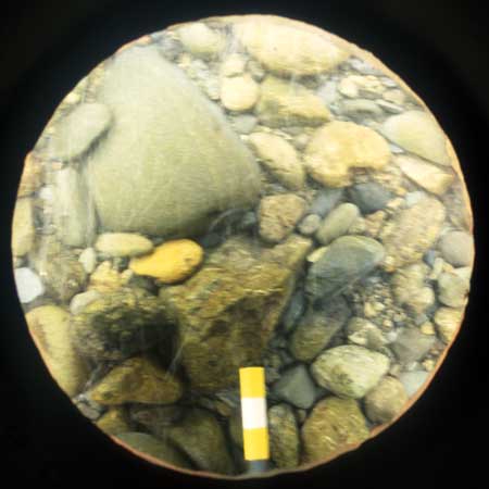 Transect 9, point 1.