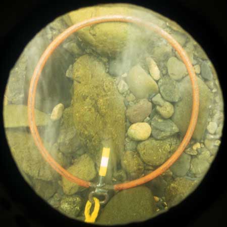 Transect 9, thalweg.