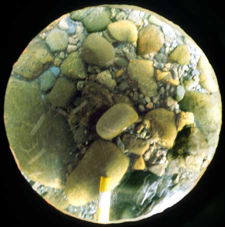 Transect 10, point 1.