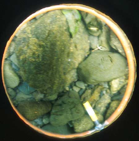 Transect 11, thalweg.