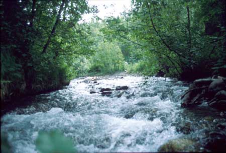 Transect 2 looking upstream