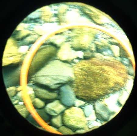 Transect 2, thalweg.