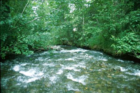 Transect 3 looking downstream