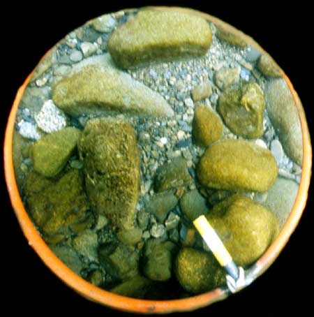 Transect 6, point 2.