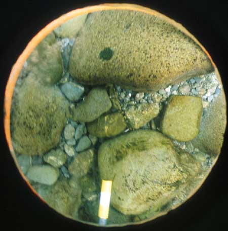 Transect 8, thalweg.