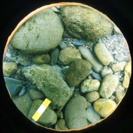 Transect 9, point 1.