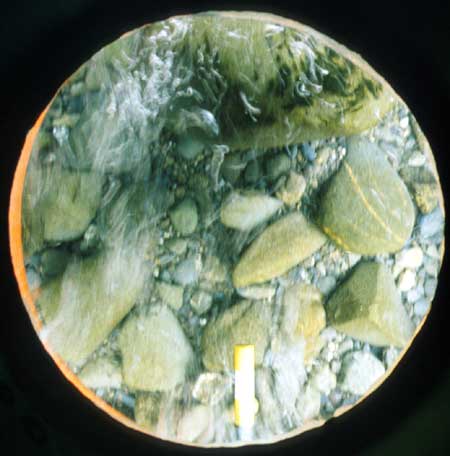 Transect 9, thalweg.