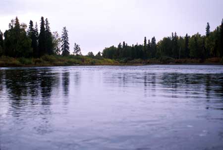 Transect 11 looking downstream