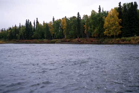 Transect 5 looking upstream