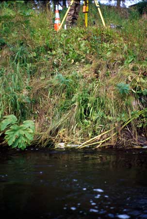 Transect 1 looking at right bank