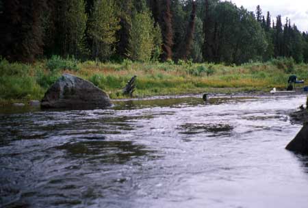 Transect 1 looking upstream