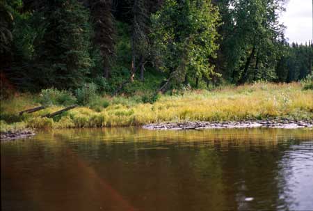 Transect 10 looking at right bank