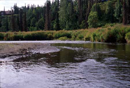 Transect 10 looking upstream