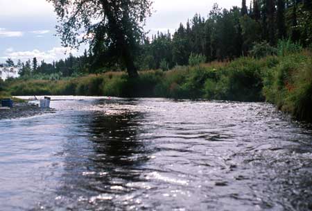 Transect 2 looking upstream