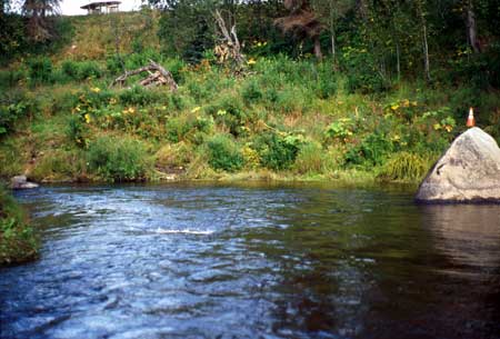 Transect 3 looking downstream