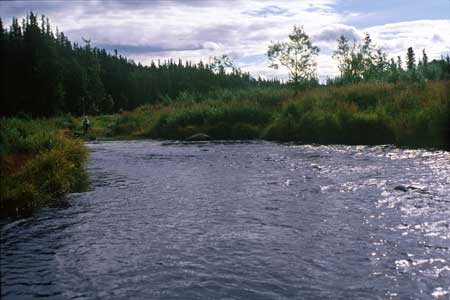 Transect 5 looking upstream