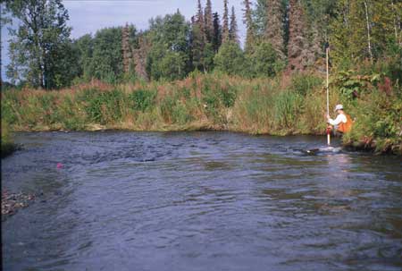 Transect 8 looking downstream