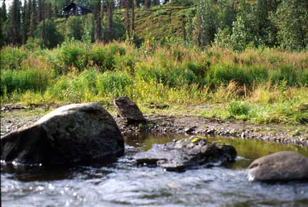 Transect 9 looking at left bank